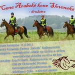 cena_aks2011_800