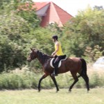 IMG_5432