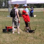 IMG_5456
