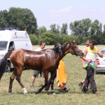 IMG_5495
