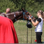 IMG_5540