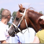 IMG_5551