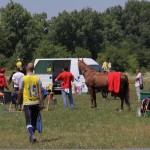 IMG_5642