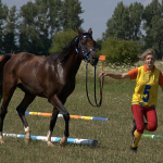 Majsterka SR juniorov a mladých jazdcov v endurance 2011 Lenka Kremlová a Cézar