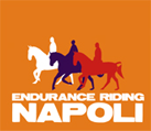 logo-napoli2