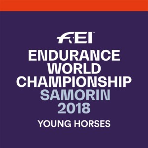 0e03da74c353692d22ff7c2807531679_endurance-logo-new-768-c-90