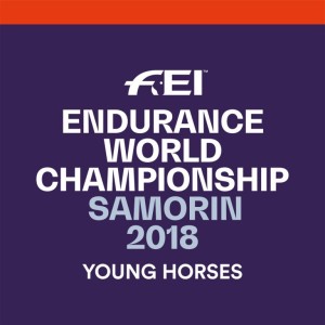 0e03da74c353692d22ff7c2807531679_endurance-logo-new-768-c-90