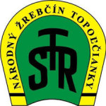 nzt-logo