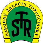 nzt-logo